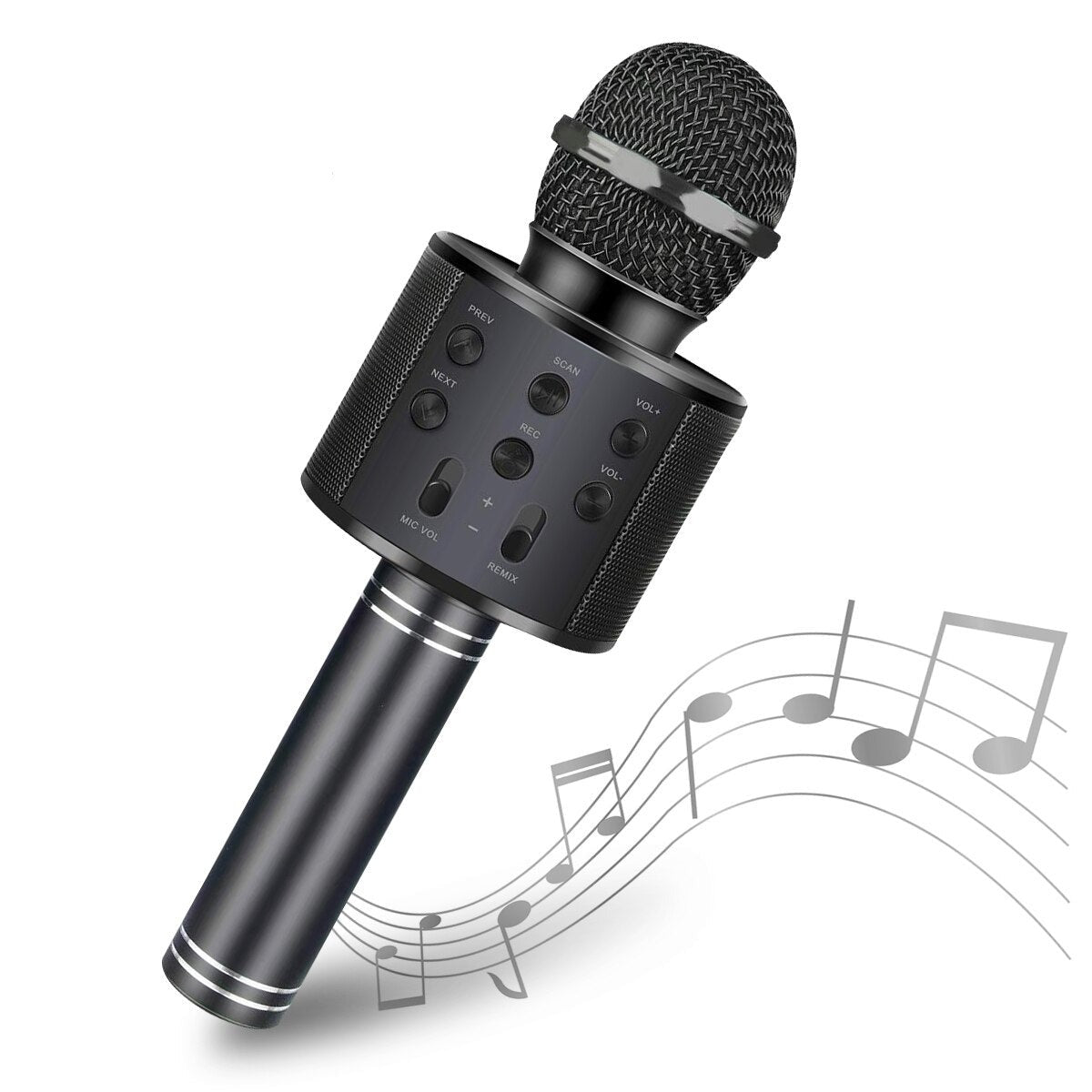 Sing A Long | Karaoke Microfoon