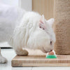 Katzensnack | Gesunde Zuckerkugeln für Katzen (5 Stück)
