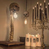 Halloween Light | Schedel Lamp