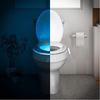Multi Light | Toilet Licht